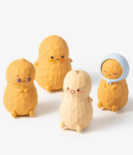 Load image into Gallery viewer, Smoko - Peanut Familia - Blind Box Figure
