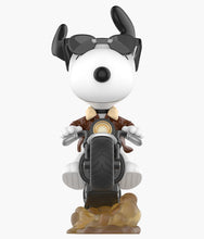 Load image into Gallery viewer, Snoopy - The Best Friends Series - Blind Box Figure
