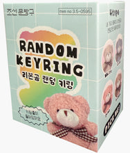 Load image into Gallery viewer, Random Teddy Bear Keyring - Blind Box
