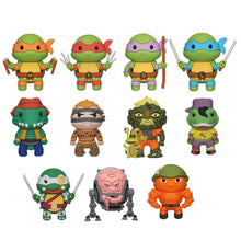 Load image into Gallery viewer, Teenage Mutant Ninja Turtles - Series 3
