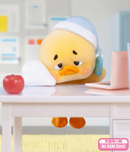 Load image into Gallery viewer, Upsetduck Status Display Duck (Hippers) - Blind Box
