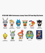 Load image into Gallery viewer, WB 100th Anniversary Looney Tunes - 3D Foam Bag Clip
