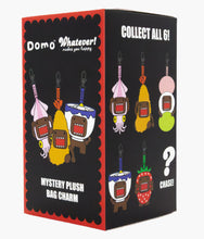 Load image into Gallery viewer, Whatever! Makes You Happy - Domo Mystery Plush Bag Charm - Blind Box
