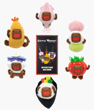 Load image into Gallery viewer, Whatever! Makes You Happy - Domo Mystery Plush Bag Charm - Blind Box
