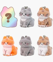 Load image into Gallery viewer, Fluffy Cat DIY Keychain - Blind Box
