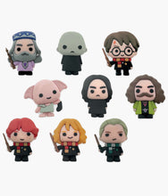 Load image into Gallery viewer, Harry Potter - 3D Charm Friends - Blind Capsule
