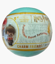 Load image into Gallery viewer, Harry Potter - 3D Charm Friends - Blind Capsule
