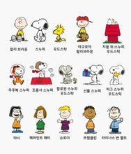 Load image into Gallery viewer, Peanuts - Pick Me Keyring - Blind Capsule
