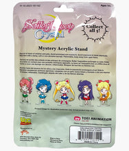 Load image into Gallery viewer, Sailor Moon - Crystal Mystery Acrylic Stand - Blind Bag
