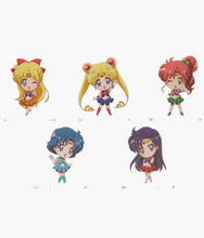 Load image into Gallery viewer, Sailor Moon - Crystal Mystery Acrylic Stand - Blind Bag

