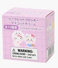 Load image into Gallery viewer, Sanrio Characters x Chiikawa - Flocked Keychain - Blind Box

