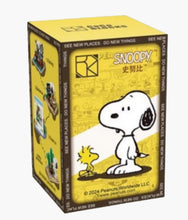 Load image into Gallery viewer, Snoopy - Caco Blocks - Blind Box
