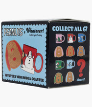 Load image into Gallery viewer, Whatever! Makes You Happy - Peanuts Mystery Mini Mug &amp; Coaster - Blind Box
