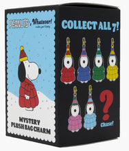 Load image into Gallery viewer, Whatever! Makes You Happy - Peanuts Mystery Plush Bag Charm - Blind Box
