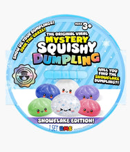Load image into Gallery viewer, RMS - Mystery Squishy Dumpling - Snowflake Edition
